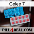 Jelly 7 new14